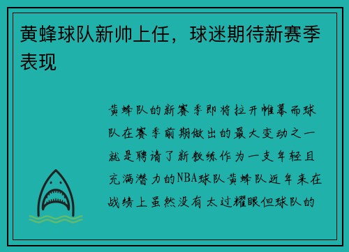 黄蜂球队新帅上任，球迷期待新赛季表现