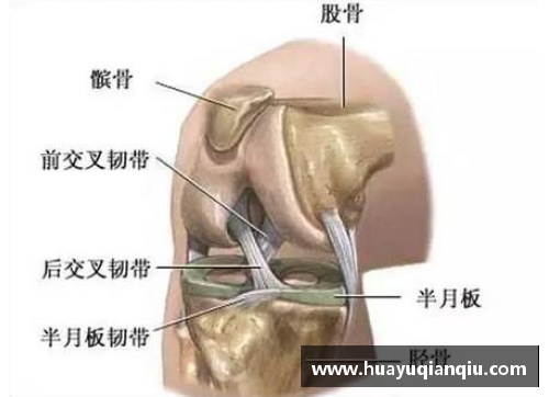 完美真人球员韧带受伤：预防、治疗与康复策略